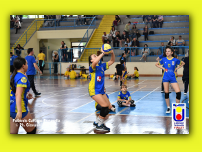 Volley S3 27.04.2025 (130).jpg